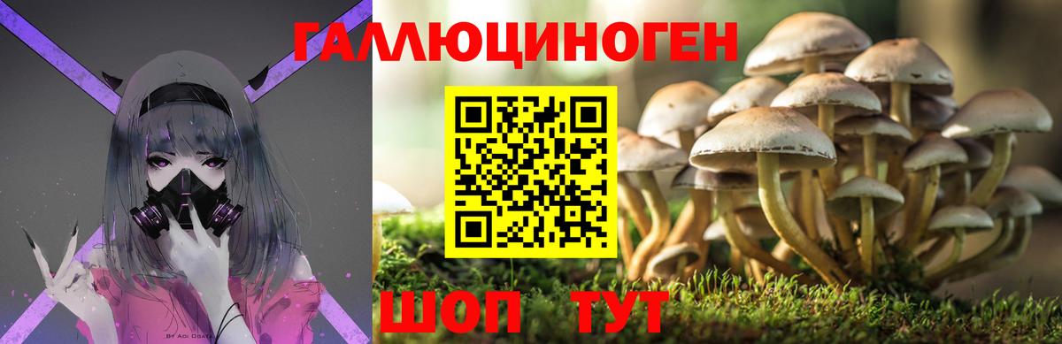Галлюциногенные грибы MAGIC MUSHROOMS Усолье-Сибирское