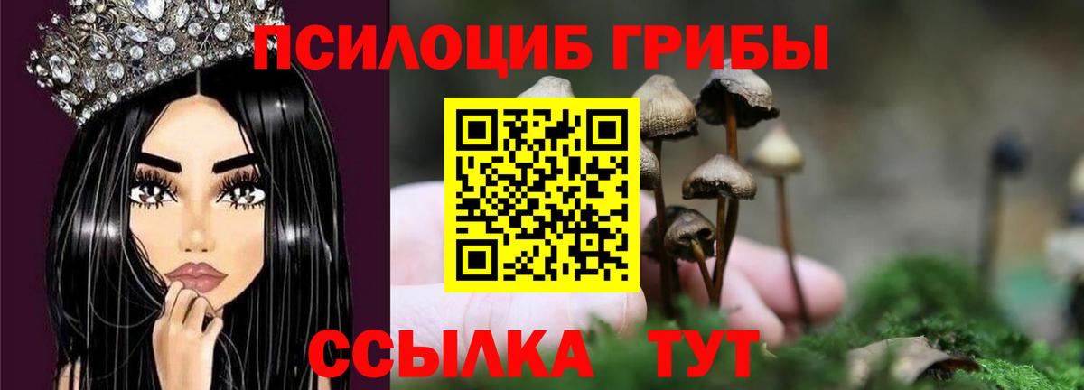 Усолье-Сибирское  дарнет шоп  Вход с VPN  Псилоцибиновые грибы мицелий 